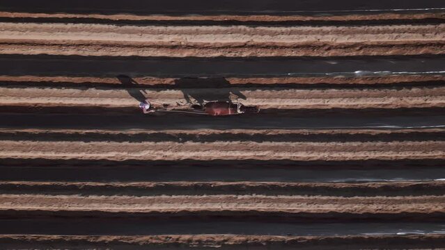 Aerial view of a man working the field with his horse. High quality 4k footage
