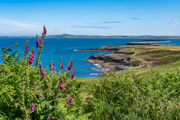 walking around Holyhead Breakwater park Anglesey