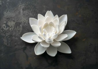 white lotus on a dark gray background for a gift certificate, beautiful and elegant - Powered by Adobe