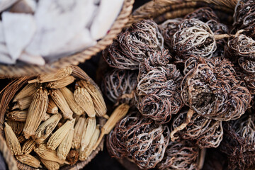 Labisia pumila or the root of Kacip Fatimah