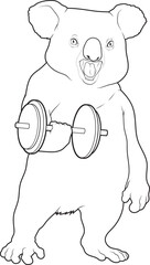 Koala Bodybuilding Dumbbell Animal Vector Graphic Art Illustration