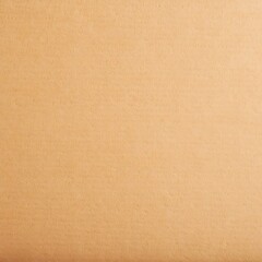 Brown paper texture background.