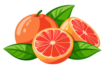 grapefruits isolated on white