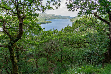 the circular walk around Llanberis lake , Snowdonia