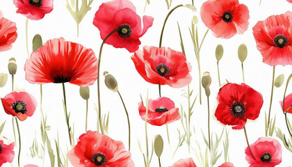 watercolour poppy wallpaper