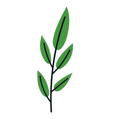 Branch with green leaves in a flat hand drawn style. Vector illustration