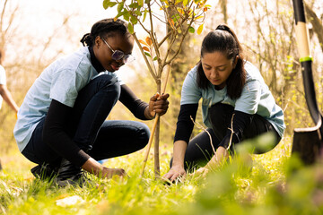 Team of environmentalists planting trees around the forest area for preservation, doing voluntary...