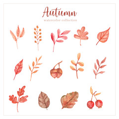 autumn leaf shapes hand painting collection