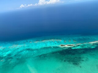Bahamian Reefs