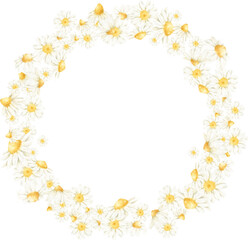 Watercolor frame of daisies bud