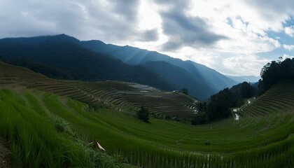 Fototapeta premium panorama of the city of the city of kotor country