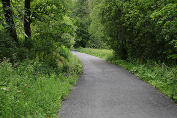 Fototapeta premium Park