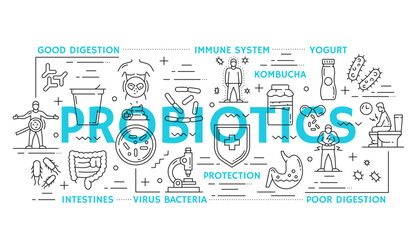 Fototapeta premium Intestine health and probiotics line vector icons or infographics. Yogurt, kombucha, intestines and bacteria. Poor or good digestion, immune system, protection linear symbols in black and blue colors