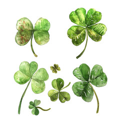 Fototapeta premium Fresh Watercolor Clovers, Ideal for St. Patrick's Day and Good Luck Themes, Isolated on Transparent Background