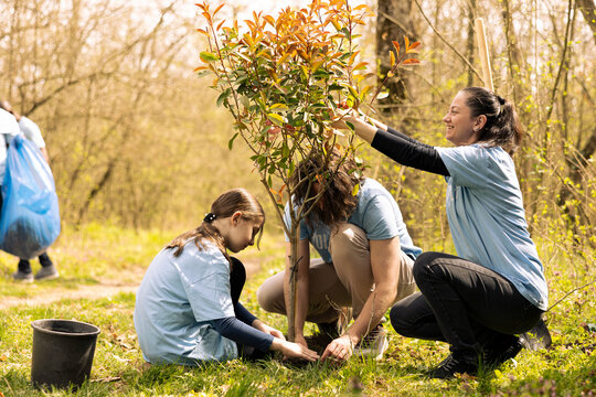 Activists and a girl installing a tree and covering hole in the woods, supporting reforestation and conservation project. Motivated group of volunteers working to save the planet.