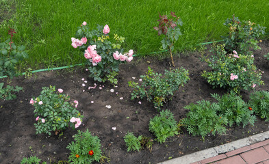 A part of the square curb-enclosed flowerbed with a pot in a public place