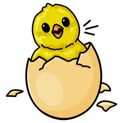 Egg Hatching Chicks Cute Cartoon Vector Illustration
