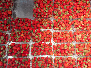 fresh strawberry background of red berries