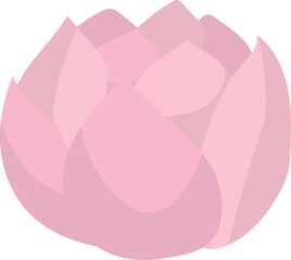 Pink lotus isolated on white background. Lotus flower illustration vector.