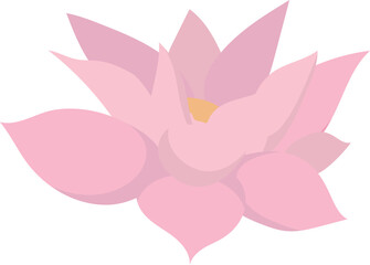 Pink lotus isolated on white background. Lotus flower illustration vector.