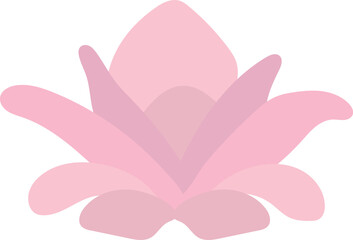Pink lotus isolated on white background. Lotus flower illustration vector.
