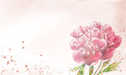 Watercolor floral botanical banner pink purple peony illustration flower design wedding illustration template hand painted greeting card mothers day