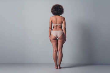 Unretouched photo of woman stand back rear wear brand new lingerie advertising isolated over pastel...
