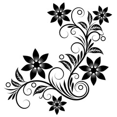 black and white decorative pattern with flowers, curls and leaves on a white isolated background, floral design element
