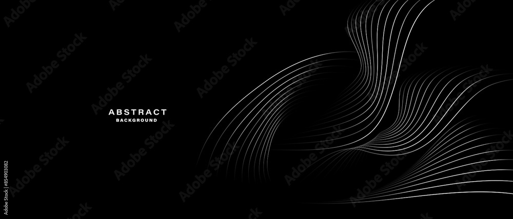 Canvas Prints abstract black modern background with dynamic lines. vector.