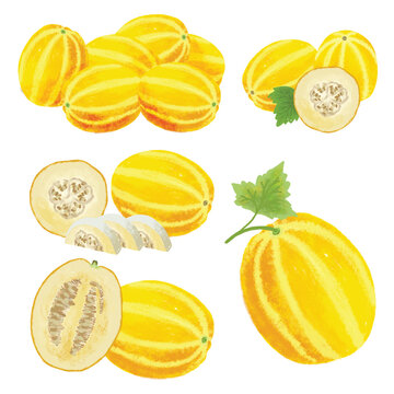 collection of fruits