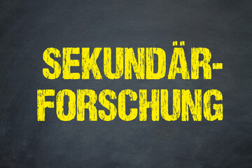 Sekundärforschung