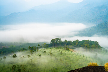 Kurishu Paara is a mountain located in Edivanna village around 15 km from Nilambur in Malappuram...