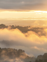 Fototapeta premium the vast sky and beautiful atmosphere