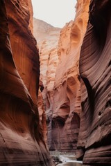 Canyon with a dry river through it