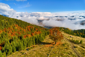 Drone view of the mountains on a sunny day