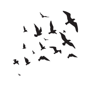 black birds flying white background clip art preview