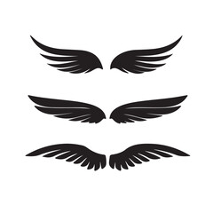 wings vector