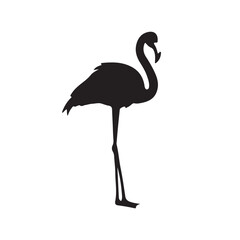 illustration of a flamingo