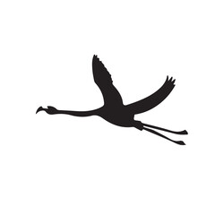 silhouette of a bird flying