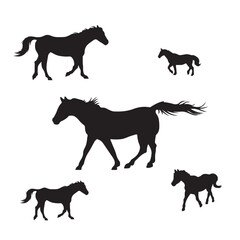 silhouettes of horses