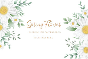 Obraz premium Hand drawn watercolor daisy flower background design
