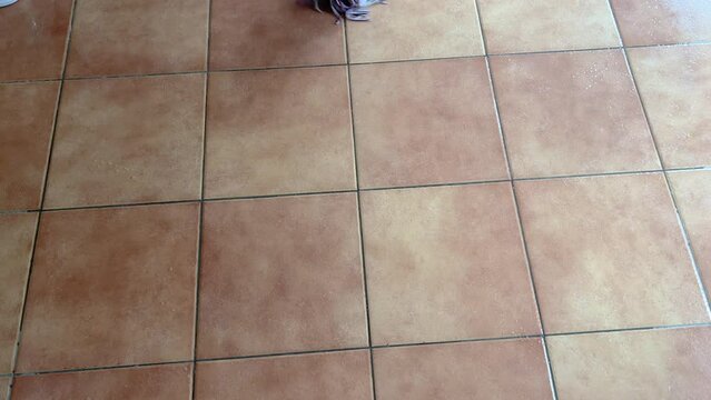 Floor seen from above on which a mocho is passing to wash the floor.