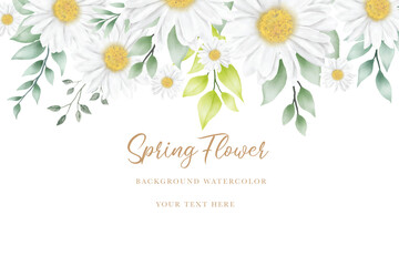 Hand drawn watercolor daisy flower background design