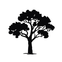 Fototapeta premium Silhouette of a deciduous Poplar tree. black illustration