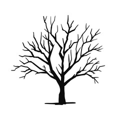 Obraz premium Silhouette of a dry bare tree. black illustration