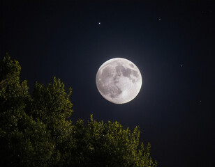 Fototapeta premium full moon over sky