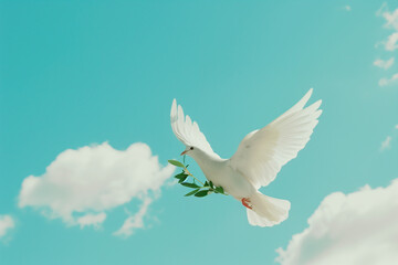 Fototapeta premium Dove with olive branch in its beak. Peace Day