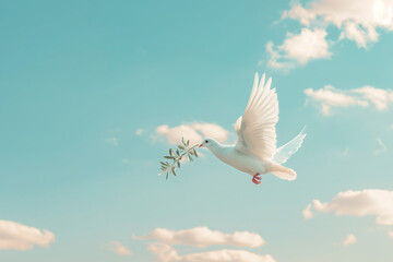 Fototapeta premium Dove with olive branch in its beak. Peace Day