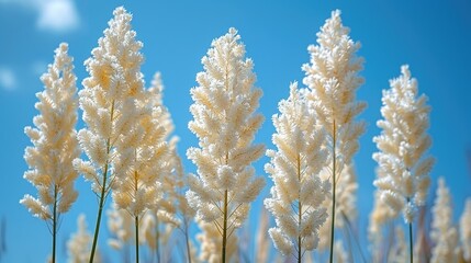 Naklejka premium white flower