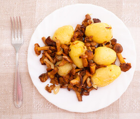 Delicious fried chanterelle mushrooms with new potatoes on a white plate. view from above